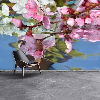 Bildtapete Kirschblüte wasser