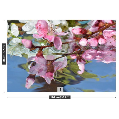 Bildtapete Kirschblüte wasser