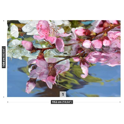 Bildtapete Kirschblüte wasser