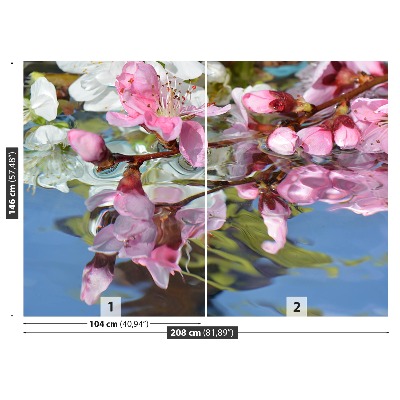 Bildtapete Kirschblüte wasser