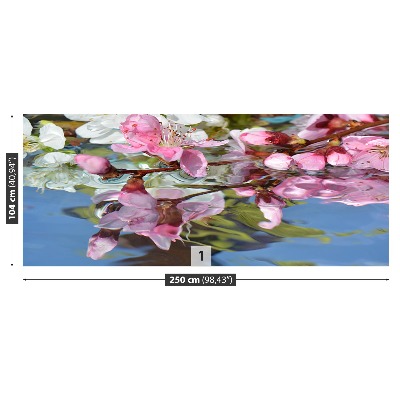Bildtapete Kirschblüte wasser