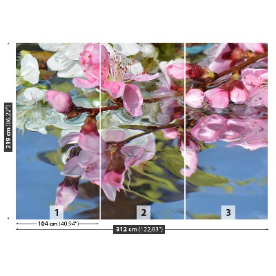 Bildtapete Kirschblüte wasser