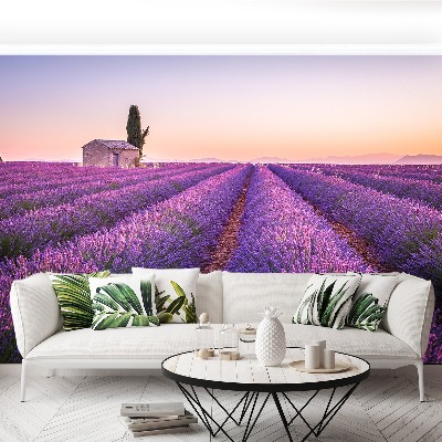 Wandtapete Provence lavendel | Vliestapeten