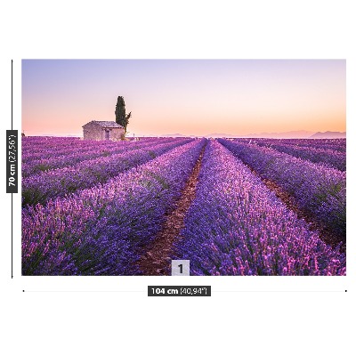 Wandtapete Provence lavendel