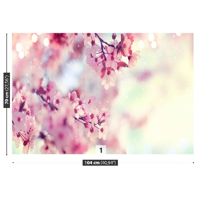 Bildtapete Kirschblüten