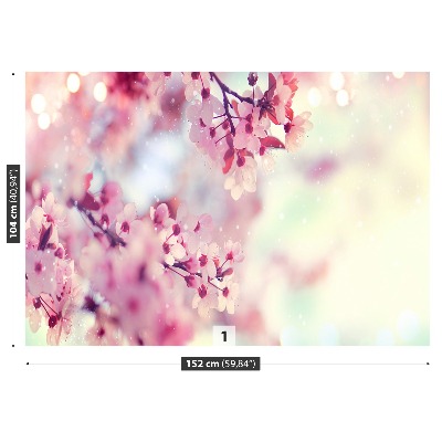 Bildtapete Kirschblüten