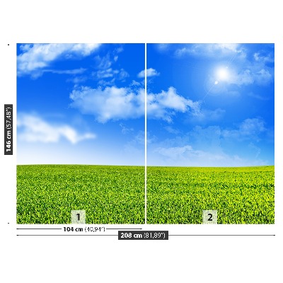 Wandtapete Grünes gras