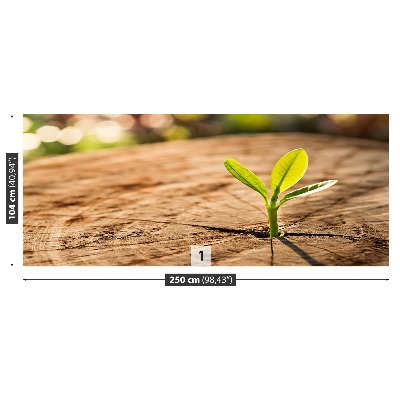 Motivtapete Impuls grün
