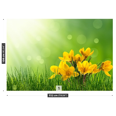 Motivtapete Krokusse grün