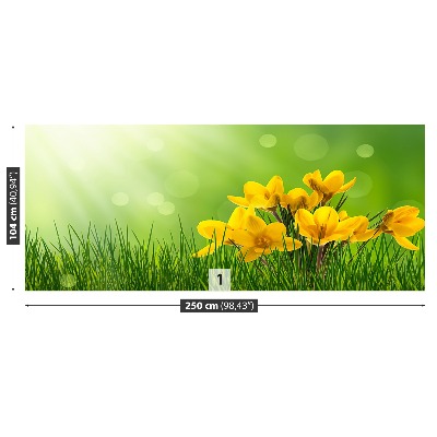 Motivtapete Krokusse grün