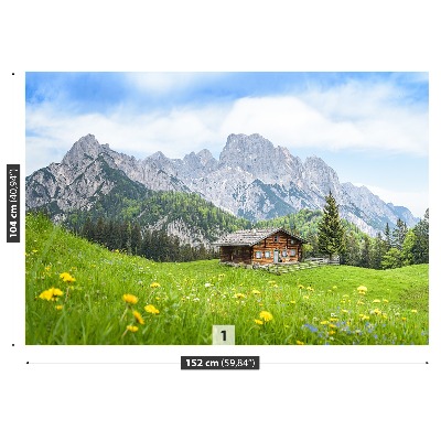 Wandtapete Salzburger land