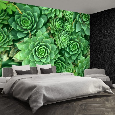 Motivtapete Sedum grün