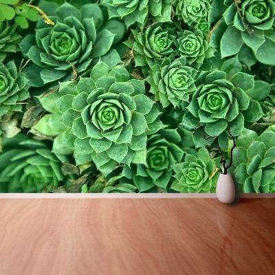 Motivtapete Sedum grün