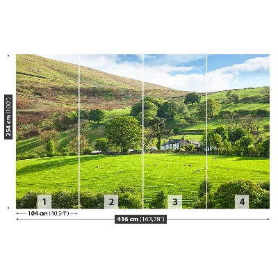 Wandtapete Frühling cumbria