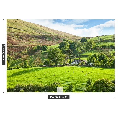 Wandtapete Frühling cumbria