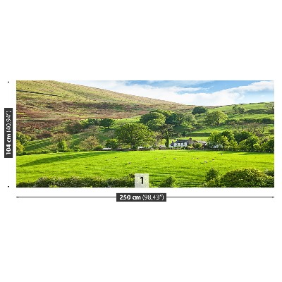 Wandtapete Frühling cumbria