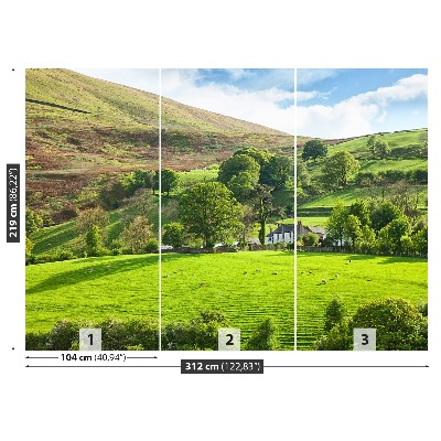 Wandtapete Frühling cumbria