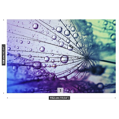 Motivtapete Löwenzahn-blume
