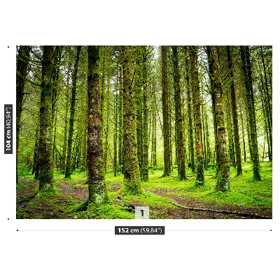 Wandtapete Bäume