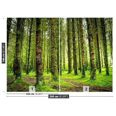 Wandtapete Bäume