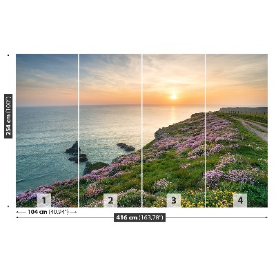 Wandtapete Küste von cornwall