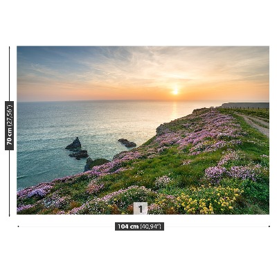 Wandtapete Küste von cornwall