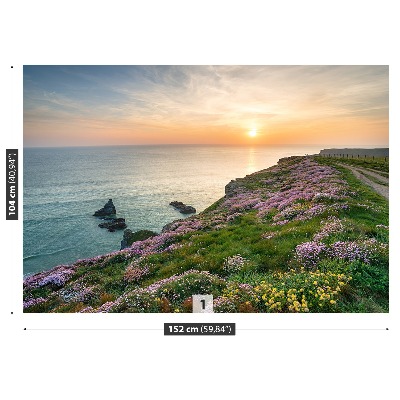 Wandtapete Küste von cornwall