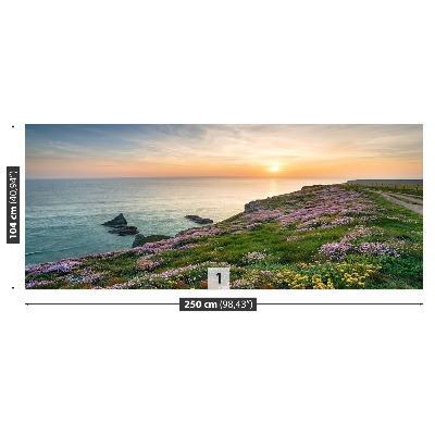 Wandtapete Küste von cornwall