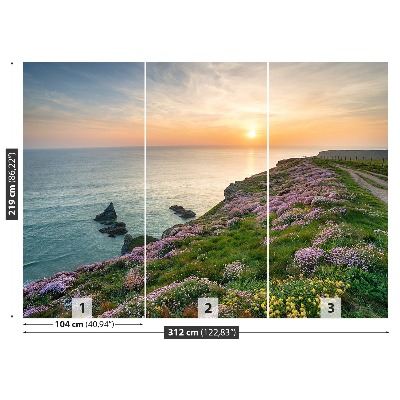 Wandtapete Küste von cornwall