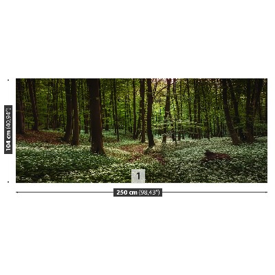 Bildtapete Frühlingswald