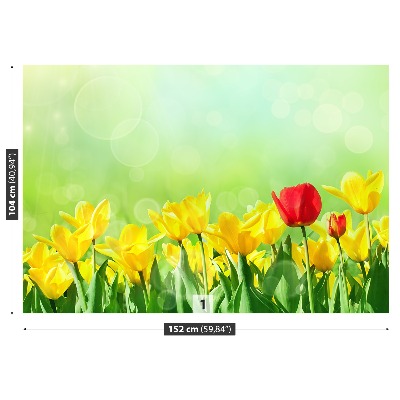 Motivtapete Gelbe tulpen