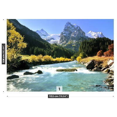Bildtapete Schweizer alpen
