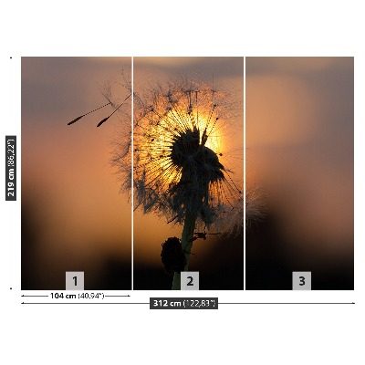 Motivtapete Dandelion sonne