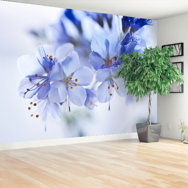 Motivtapete Blaue blüten