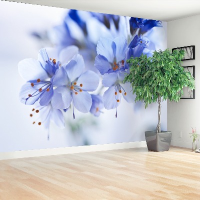 Motivtapete Blaue blüten