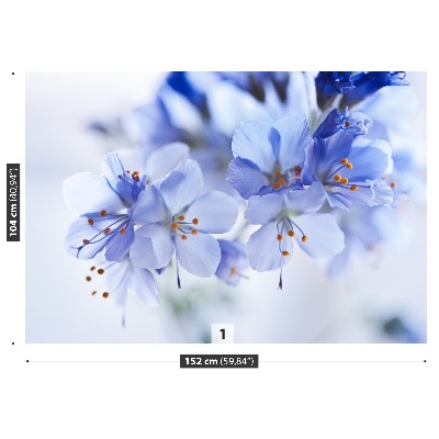 Motivtapete Blaue blüten