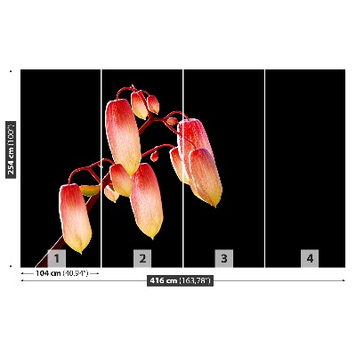Motivtapete Schwarze blumen