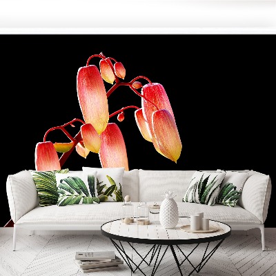 Motivtapete Schwarze blumen