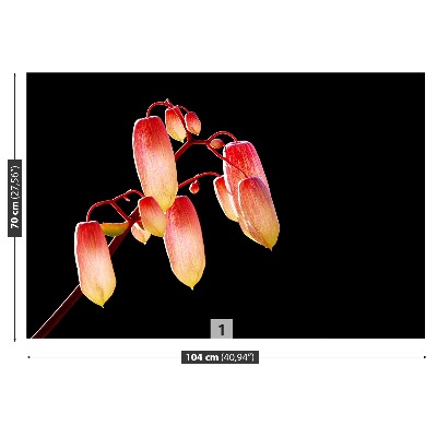 Motivtapete Schwarze blumen