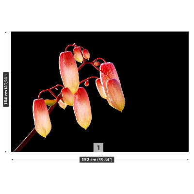 Motivtapete Schwarze blumen
