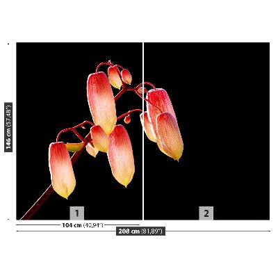 Motivtapete Schwarze blumen