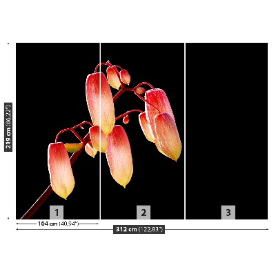 Motivtapete Schwarze blumen