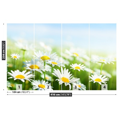 Motivtapete Gänseblümchen grün