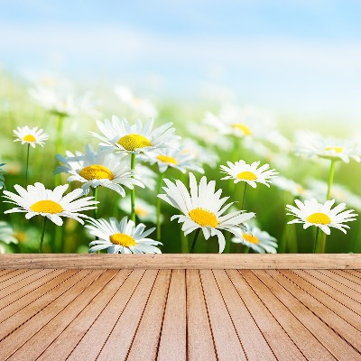 Motivtapete Gänseblümchen grün