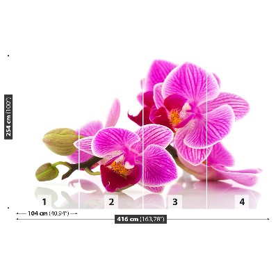 Motivtapete Orchideenblüten