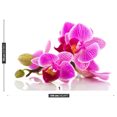 Motivtapete Orchideenblüten