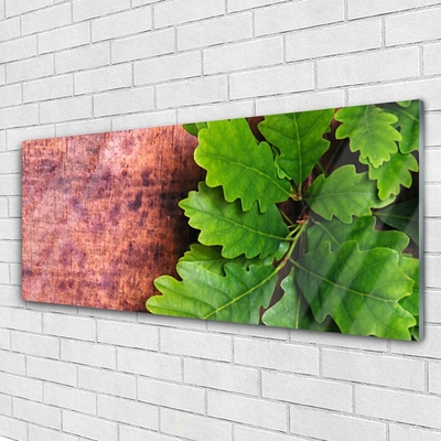 Acrylglasbilder Eiche Blätter Pflanzen