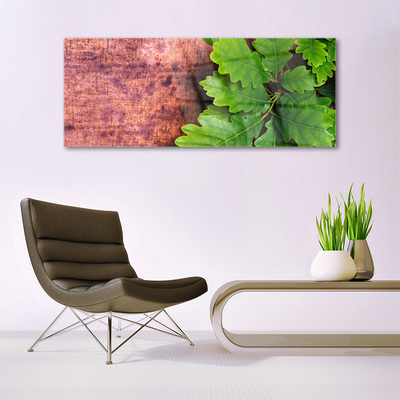 Acrylglasbilder Eiche Blätter Pflanzen