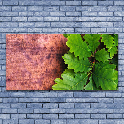 Acrylglasbilder Eiche Blätter Pflanzen