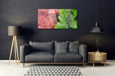 Acrylglasbilder Eiche Blätter Pflanzen